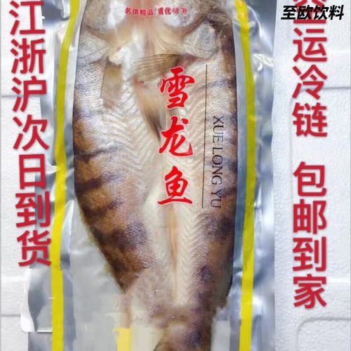 哪里可以買到正宗的雪龍魚？ 哪里可以買到正宗的雪龍魚？ 龍魚百科 第2張