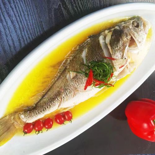 哪里可以買到正宗的雪龍魚？ 哪里可以買到正宗的雪龍魚？ 龍魚百科 第3張