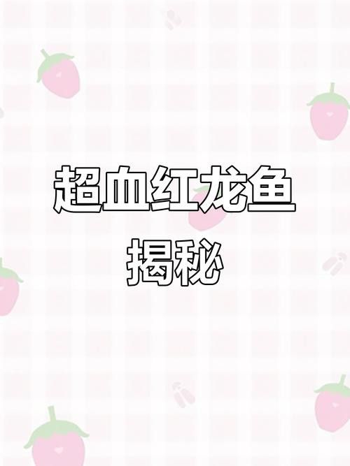 印度尼西亞紅龍魚價格多少