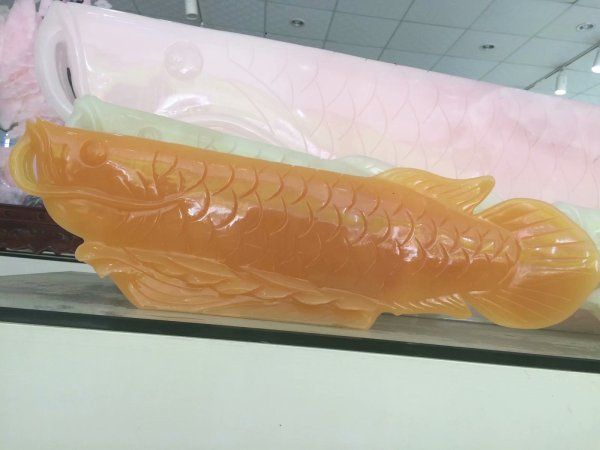 辦公桌金龍魚擺放位置好嗎：辦公桌金龍魚擺放位置好嗎辦公桌金龍魚擺放位置好嗎