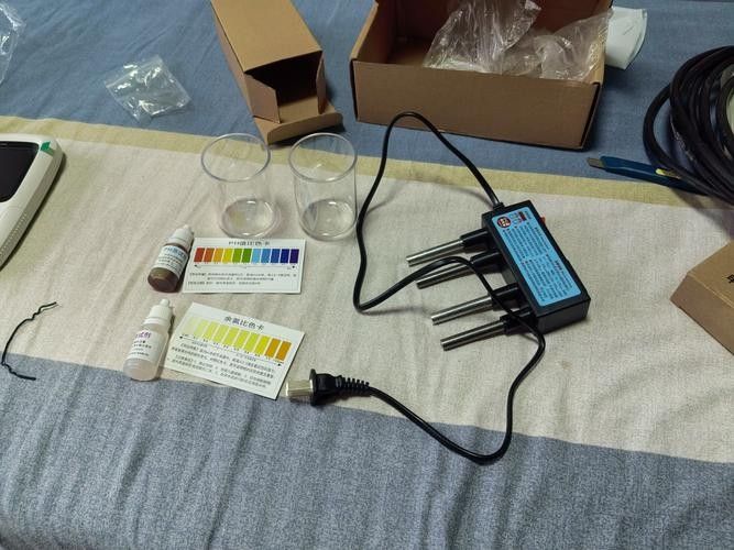 銀龍魚爛嘴怎么辦圖片大全 銀龍魚爛嘴怎么辦圖片大全 龍魚百科 第18張