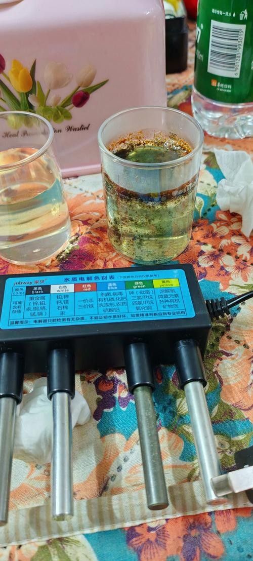 銀龍魚爛嘴怎么辦圖片大全 銀龍魚爛嘴怎么辦圖片大全 龍魚百科 第23張