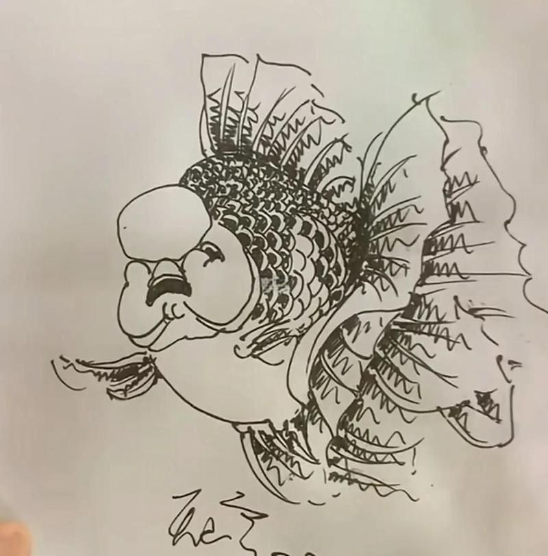 賽級金魚什么意思
