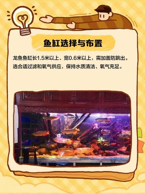 龍魚沉底怎么回事圖片大全 龍魚百科 第42張 龍魚沉底怎么回事圖片大全 龍魚沉底怎么回事圖片大全 龍魚百科 第42張
