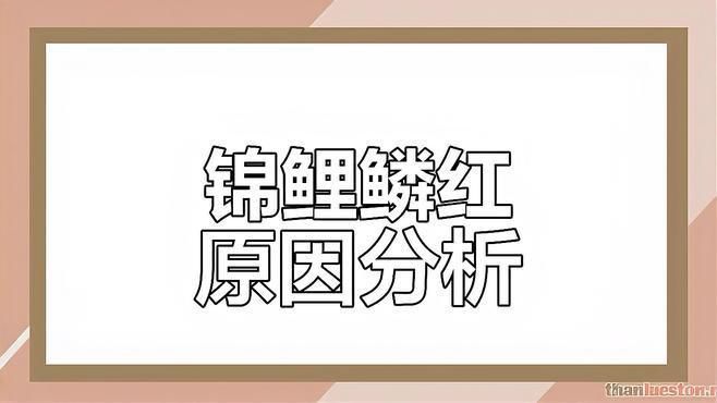 如何判斷錦鯉發紅是哪種原因？