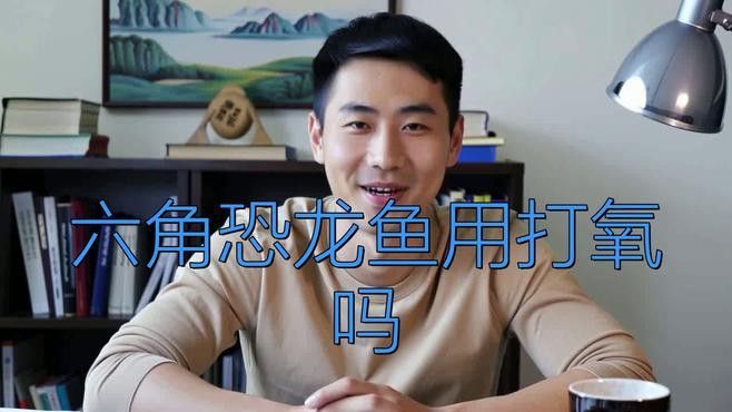 六角恐龍魚需要打氧氣嗎？