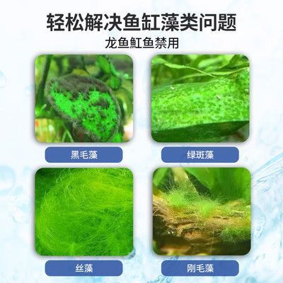 龍魚缸如何除藻效果好（龍魚缸如何除藻？）
