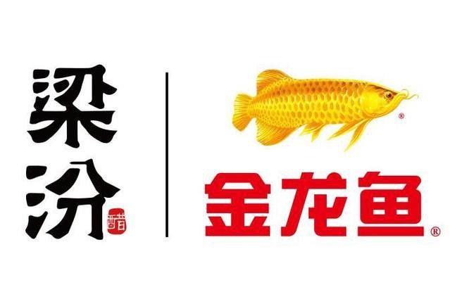 金龍魚標志圖片大全集