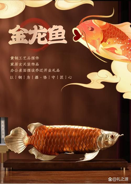 金龍魚標志圖片大全集