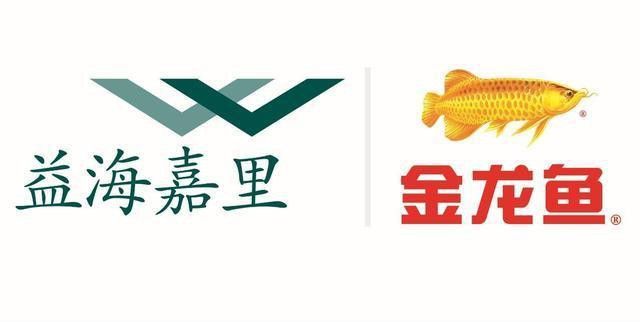 金龍魚標志圖片大全集