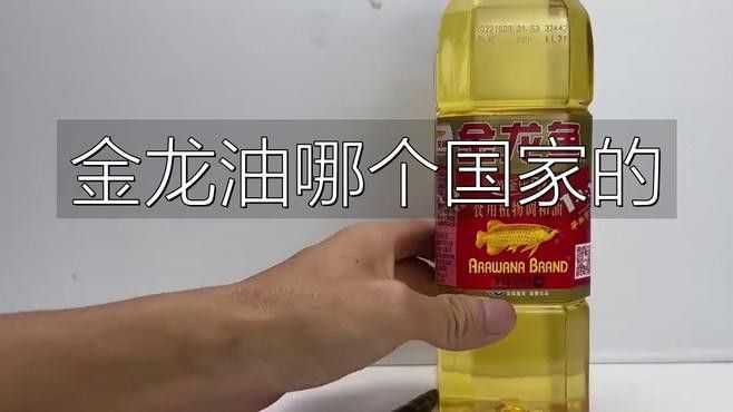 金龍魚標志圖片大全集