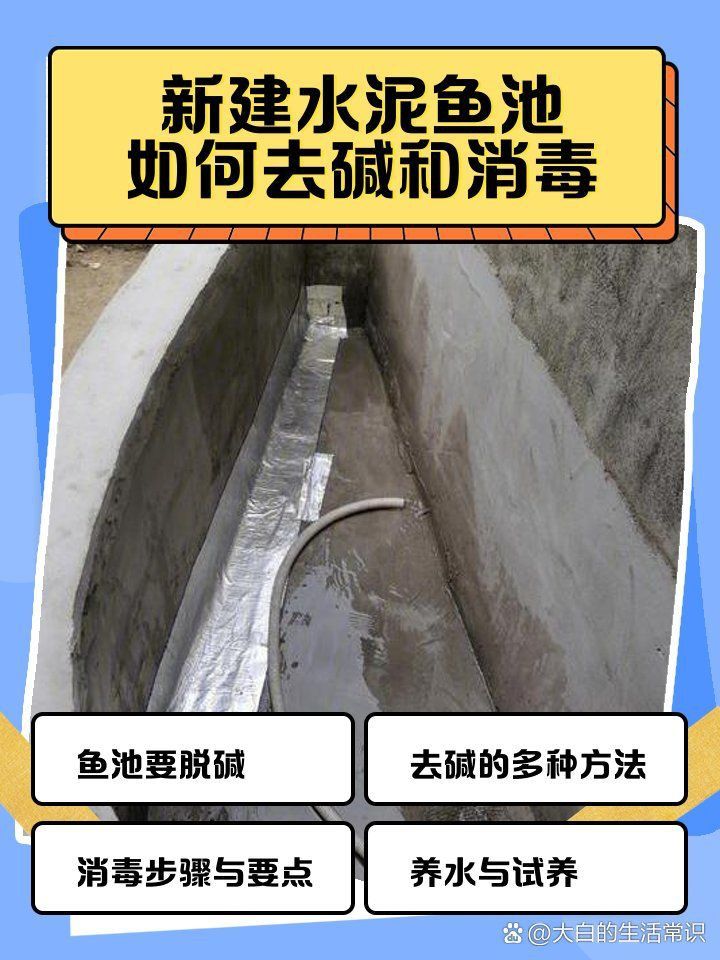 藍帆五間魚脫變最怕三個東西