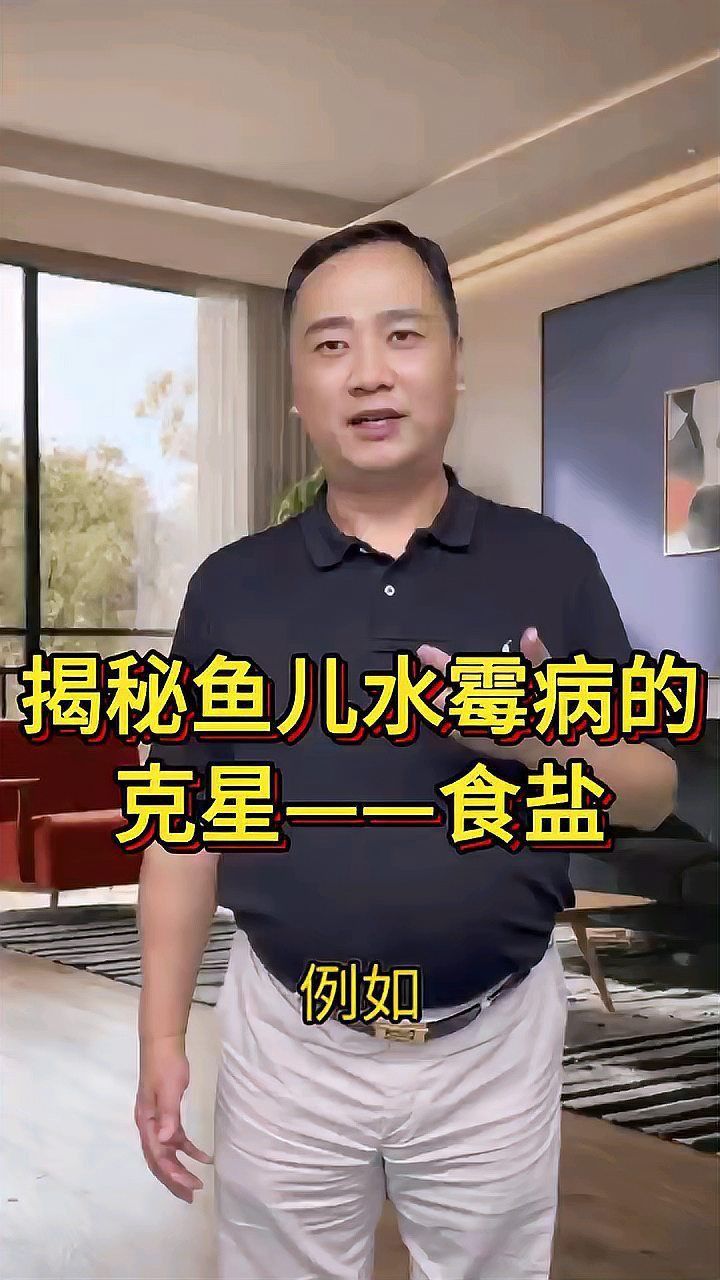 藍帆五間魚脫變最怕三個東西