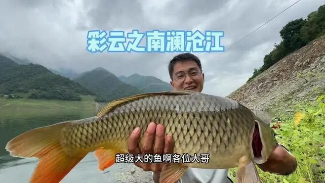 瀾滄江龍魚有刺嗎圖片欣賞