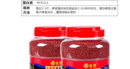 小龍魚一次喂多少飼料好：小龍魚一次喂多少飼料好呢？