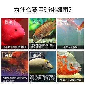 龍魚水質檢測方法？：養龍魚時水質檢測方法：ph值是衡量水質酸堿度的一個重要指標