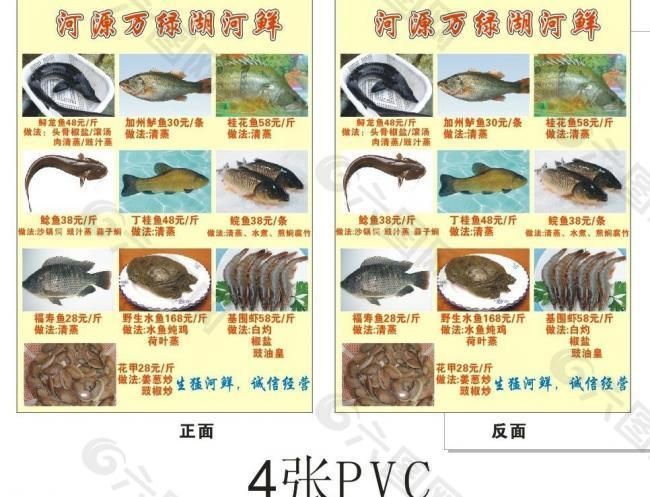 龍魚是海鮮還是河鮮：如何區(qū)分淡水魚和海水魚