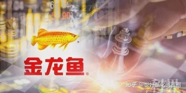 金龍魚金融投資的主要風險有哪些？