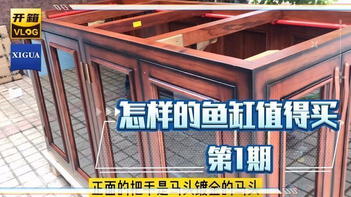 龍魚的魚鱗掉了要用多少鹽：泰國鯽魚吃龍魚吃龍魚屎怎么喂、泰國鯽魚吃龍魚屎怎么辦