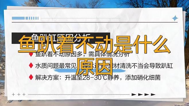銀龍魚趴在缸底不動怎么回事視頻 銀龍魚趴在缸底不動怎么回事視頻 龍魚百科 第2張