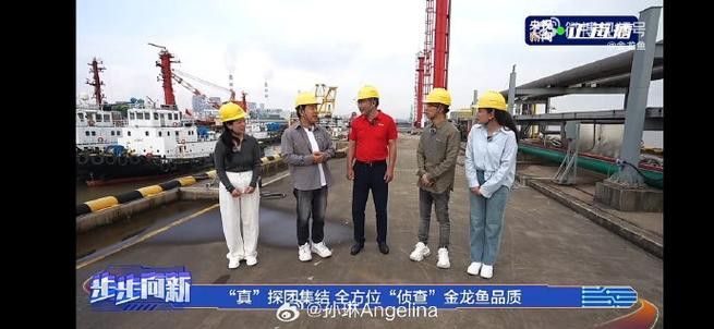 金龍魚 牛總