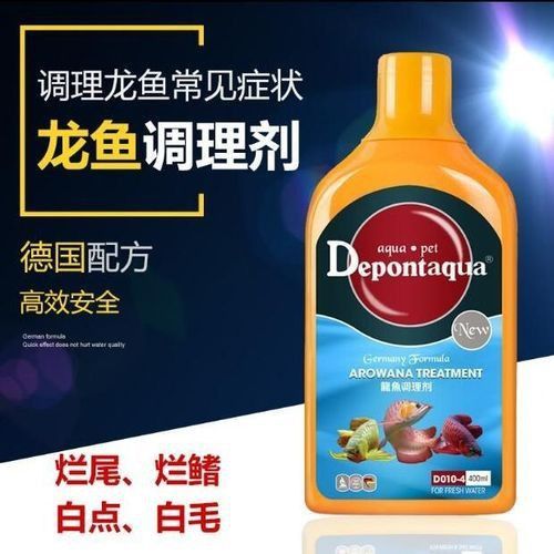 龍魚爛鰓圖片