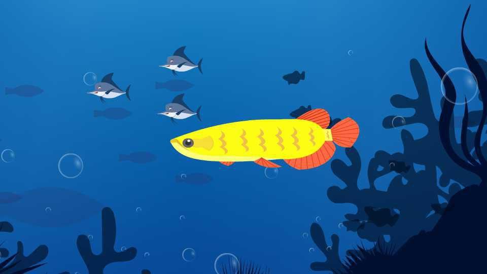 跟銀龍魚長得差不多的魚是什么