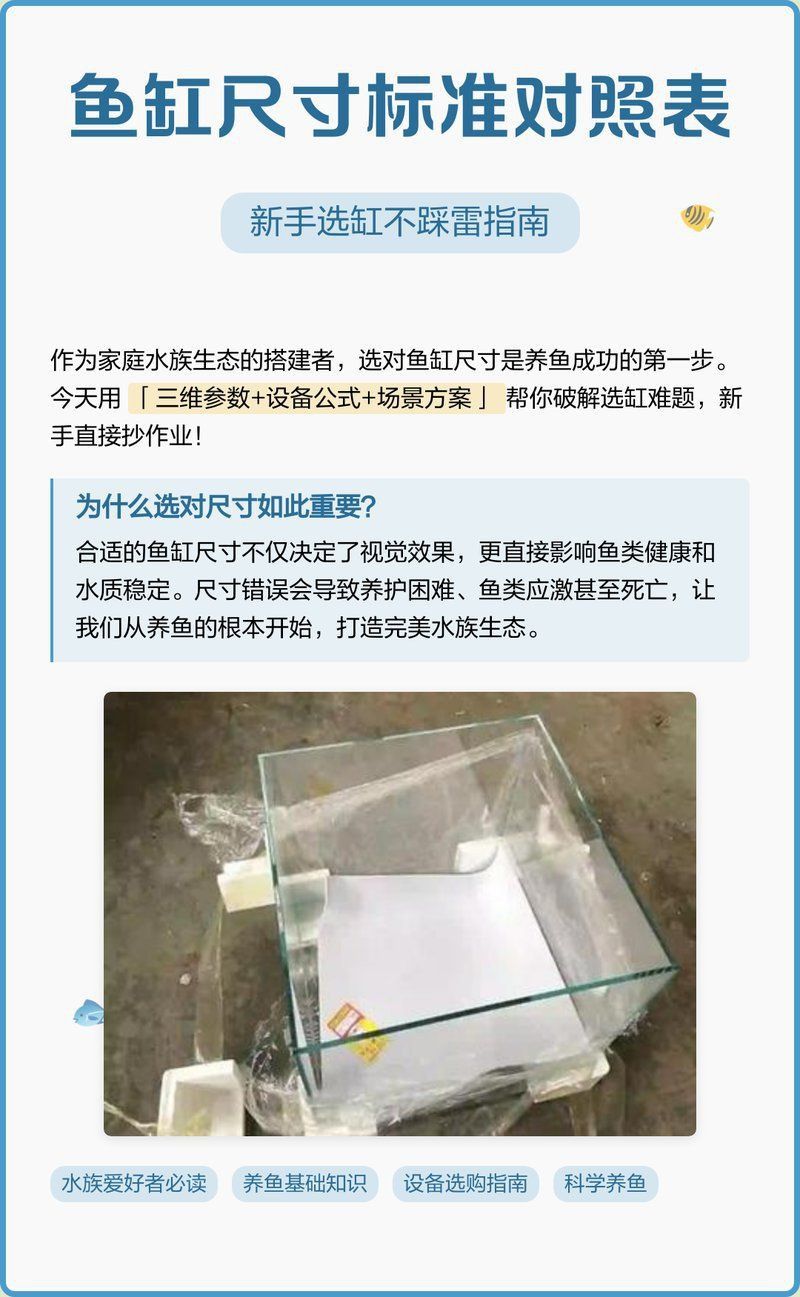魚缸最佳尺寸一覽表 龍魚百科 第5張 魚缸最佳尺寸一覽表 魚缸最佳尺寸一覽表 龍魚百科 第5張