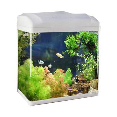 小魚缸多錢（超白玻璃魚缸與玻璃對比塑料魚缸適用環境多功能魚缸購買指南）