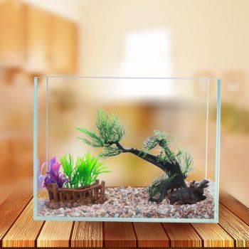 小魚缸多錢（超白玻璃魚缸與玻璃對比塑料魚缸適用環境多功能魚缸購買指南）