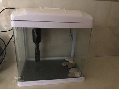 小魚缸多錢（超白玻璃魚缸與玻璃對比塑料魚缸適用環境多功能魚缸購買指南）