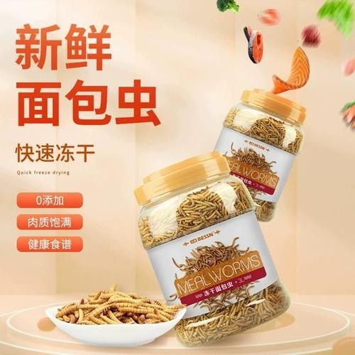 銀龍魚造景缸怎么樣啊