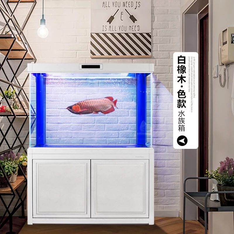 龍魚多大缸合適養魚：養魚愛好者在選擇合適的魚缸尺寸時需要考慮到魚的種類、成年體長