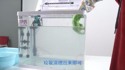 龍魚魚缸怎么清理污垢：龍魚魚缸怎么清理污垢，龍魚魚缸清理污垢的步驟和方法