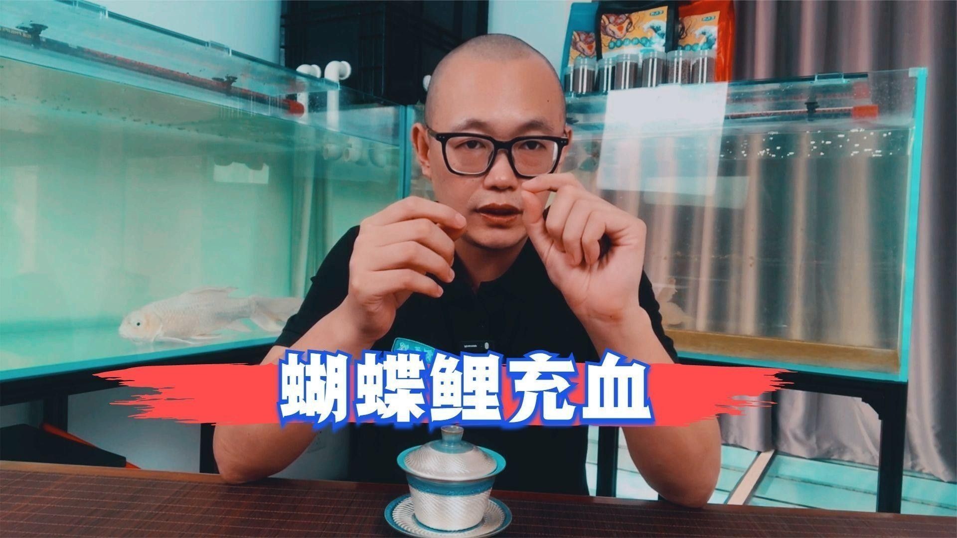 龍魚充血治療期間需要加鹽嗎？