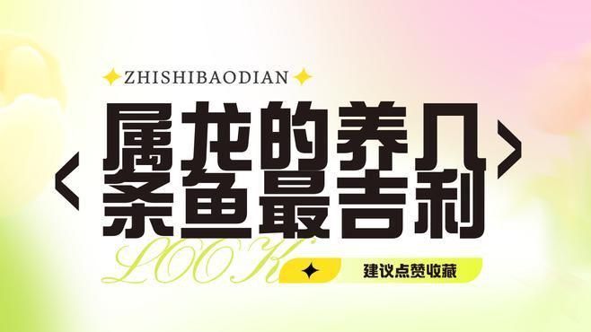 龍魚養(yǎng)3條還是4條最吉利 龍魚養(yǎng)3條還是4條最吉利 龍魚百科 第1張