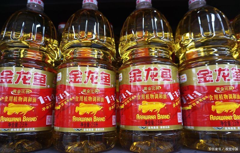 金龍魚排名全國第幾