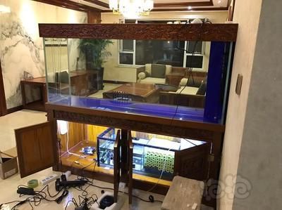 家里養的龍魚可以送人嗎（家里養的龍魚可以送人嗎360問答360問答） 家里養的龍魚可以送人嗎（家里養的龍魚可以送人嗎360問答360問答） 龍魚百科 第3張