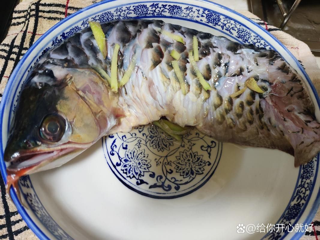 給我推薦一些金龍魚的家常菜譜