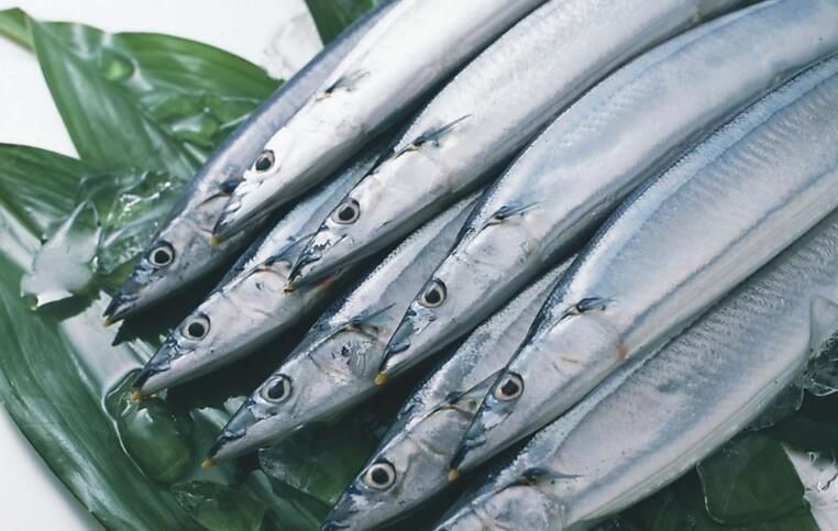 龍王魚長啥樣圖片