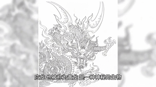 能推薦一些動態(tài)吉祥龍圖片嗎？