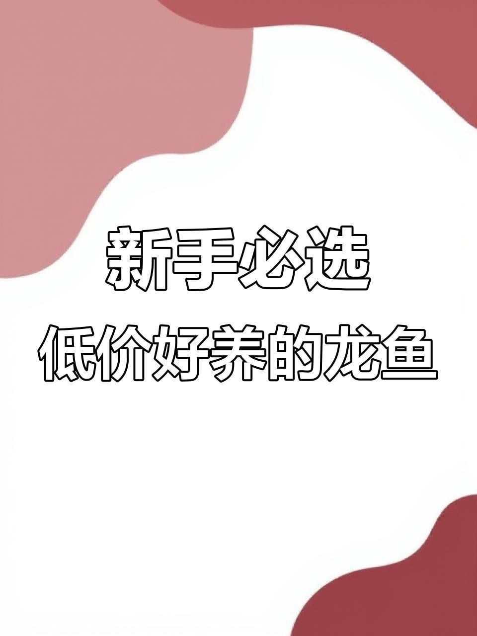哪種龍魚最容易飼養？ 哪種龍魚最容易飼養？ 龍魚百科 第4張