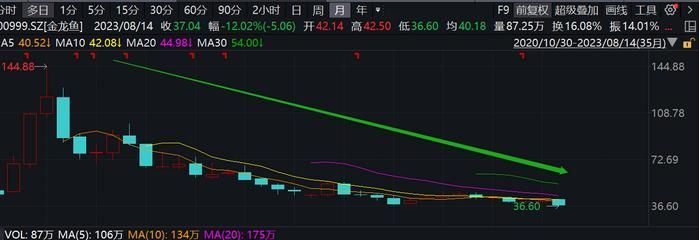 那種龍魚最認人:哪種龍魚最能識別主人 龍魚百科 第1張 那種龍魚最認人:哪種龍魚最能識別主人 那種龍魚最認人:哪種龍魚最能識別主人 龍魚百科 第1張