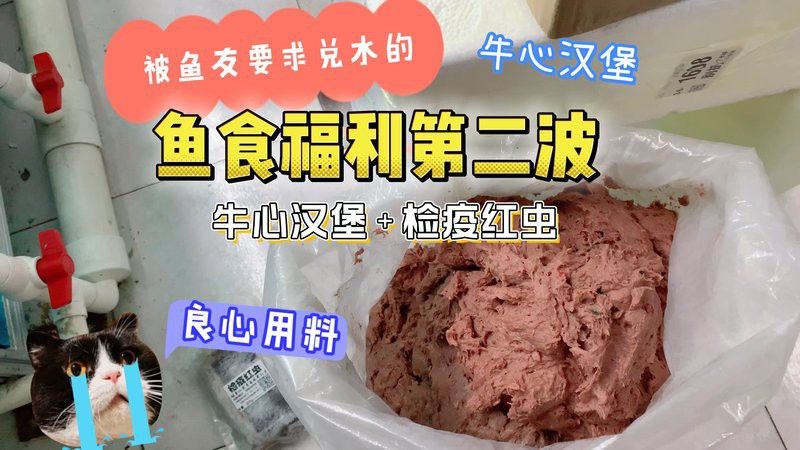 紅龍魚自制牛心漢堡的做法 紅龍魚自制牛心漢堡的做法 龍魚百科 第5張