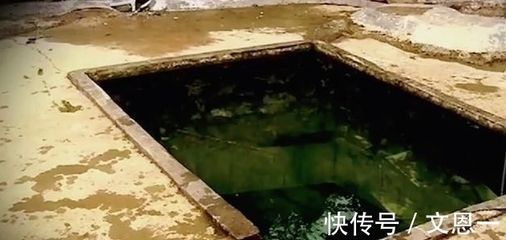 井水可以養(yǎng)龍魚嗎：井水可以養(yǎng)龍魚但需要經(jīng)過一定的處理步驟和注意事項 井水可以養(yǎng)龍魚嗎：井水可以養(yǎng)龍魚但需要經(jīng)過一定的處理步驟和注意事項 龍魚百科 第1張
