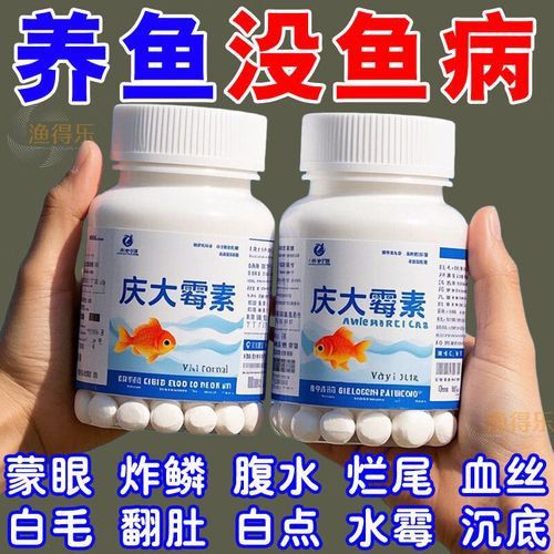 紅龍魚尾鰭爛了怎么辦圖片大全 紅龍魚尾鰭爛了怎么辦圖片大全 龍魚百科 第8張