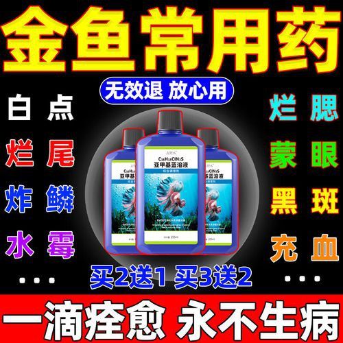 紅龍魚尾鰭爛了怎么辦圖片大全 紅龍魚尾鰭爛了怎么辦圖片大全 龍魚百科 第10張