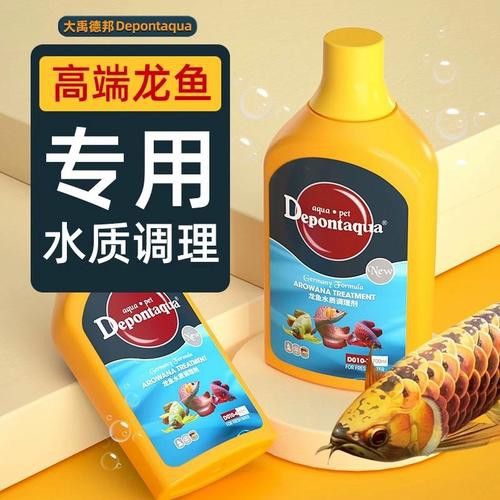 紅龍魚尾鰭爛了怎么辦圖片大全 紅龍魚尾鰭爛了怎么辦圖片大全 龍魚百科 第7張