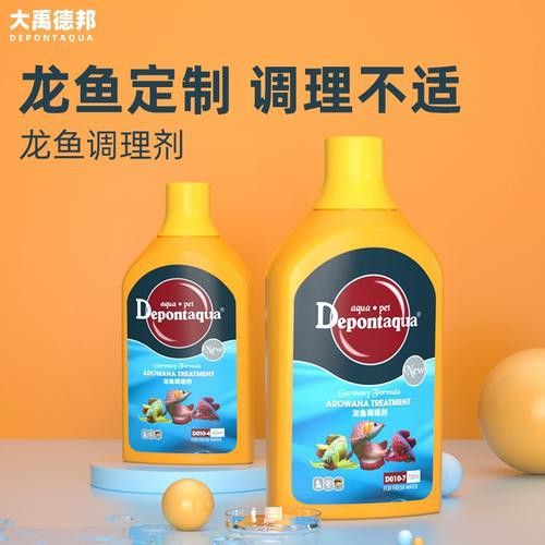 紅龍魚尾鰭爛了怎么辦圖片大全 紅龍魚尾鰭爛了怎么辦圖片大全 龍魚百科 第16張