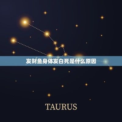 龍魚發白是什么原因導致的：龍魚發白可能由多種原因引起， 龍魚發白是什么原因導致的：龍魚發白可能由多種原因引起， 龍魚百科 第4張